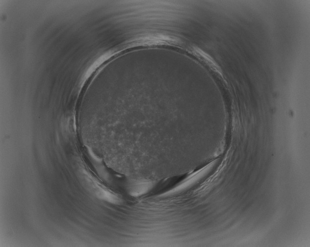 X0000068891226200605081311