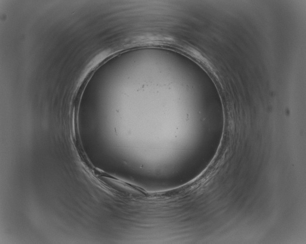 X0000068891227200605081311