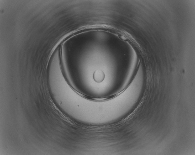 X0000068891228200605081311