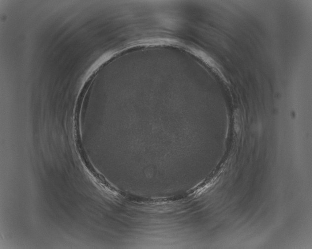 X0000068891229200605081311