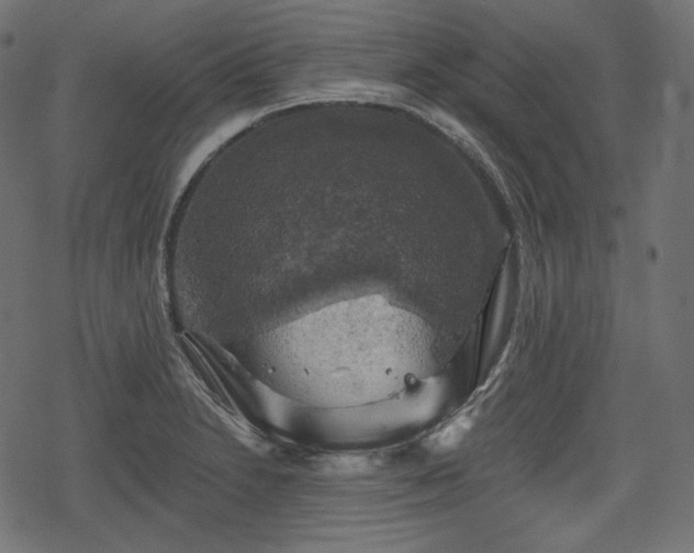 X0000068891230200605081311