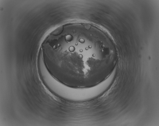 X0000068891231200605081311