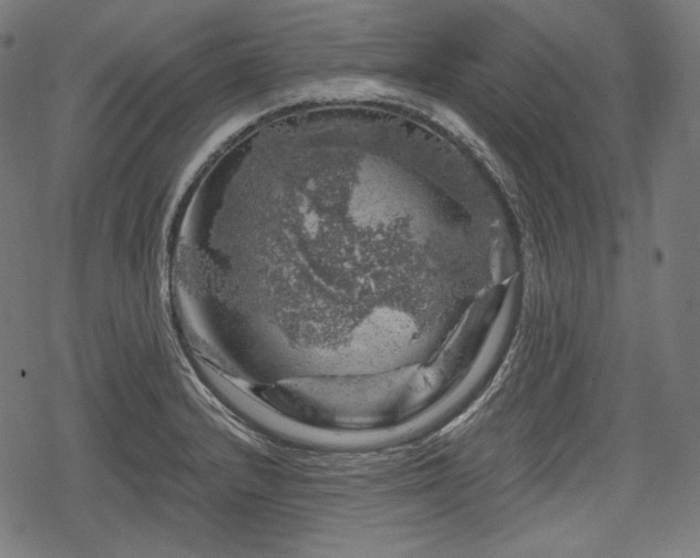 X0000068891232200605081311