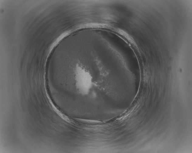 X0000068891237200605081311