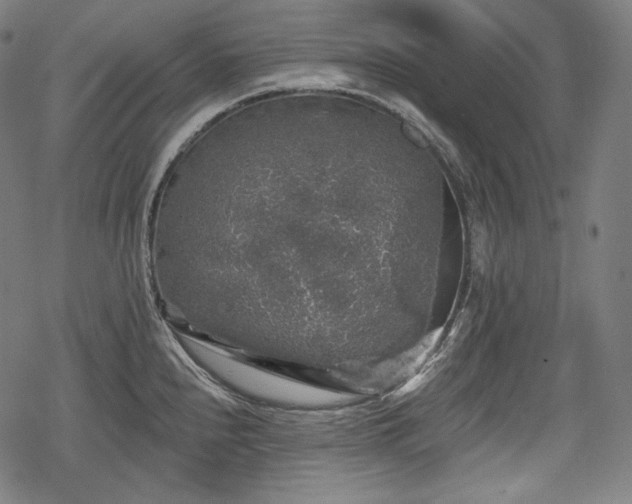 X0000068891240200605081311