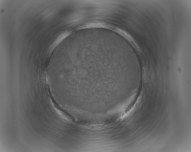 X0000068891241200605081311