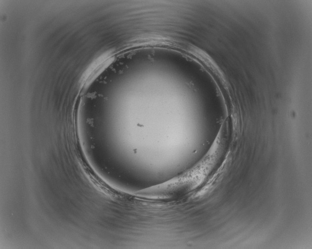 X0000068891242200605081311