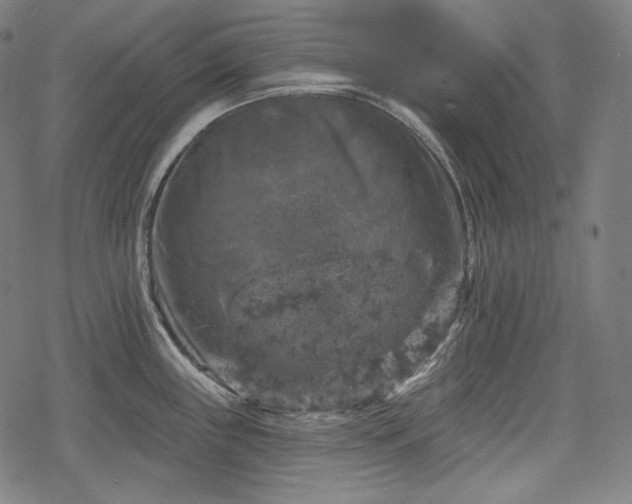 X0000068891243200605081311