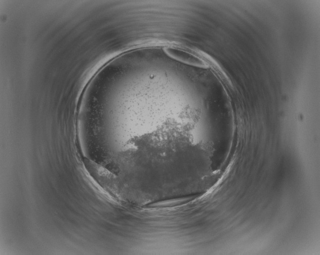 X0000068891244200605081311