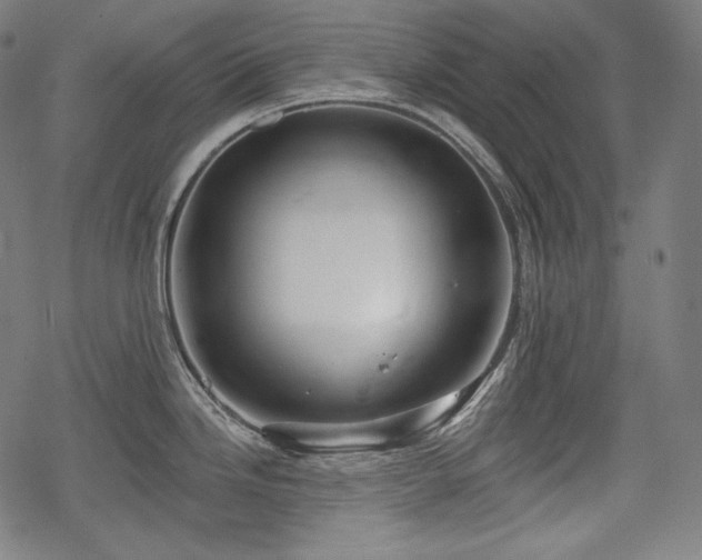 X0000068891246200605081311