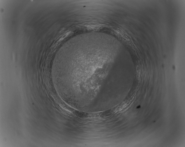 X0000068891249200605081311