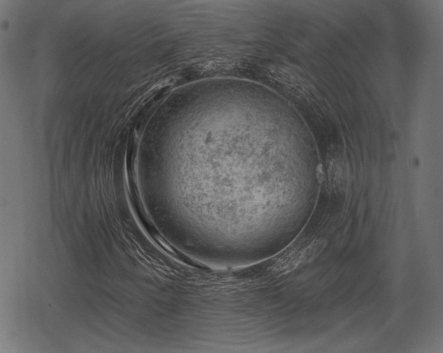 X0000068891250200605081311