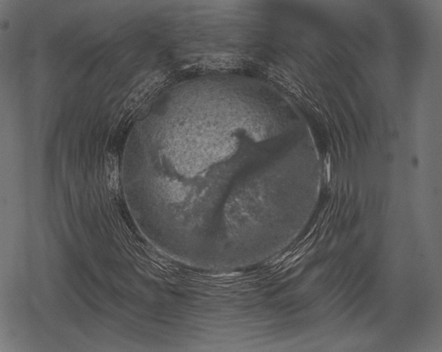 X0000068891251200605081311