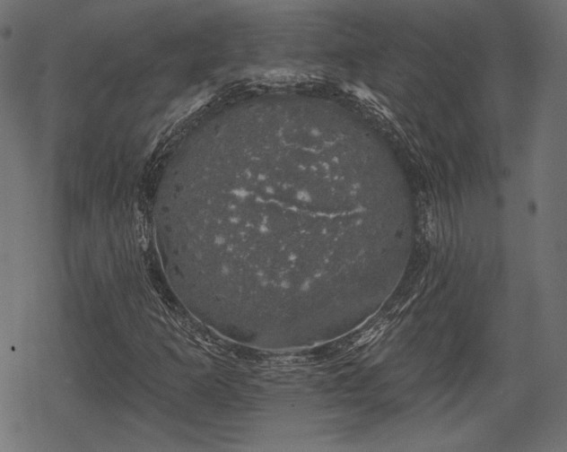 X0000068891253200605081311