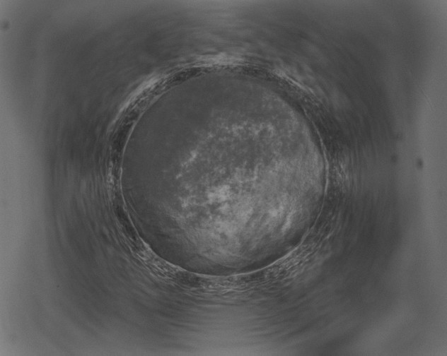 X0000068891254200605081311