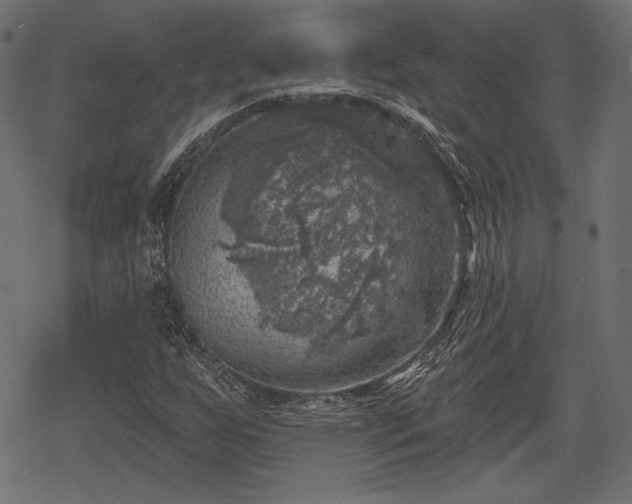 X0000068891255200605081311