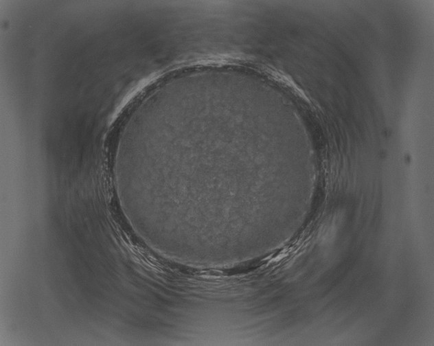 X0000068891256200605081311