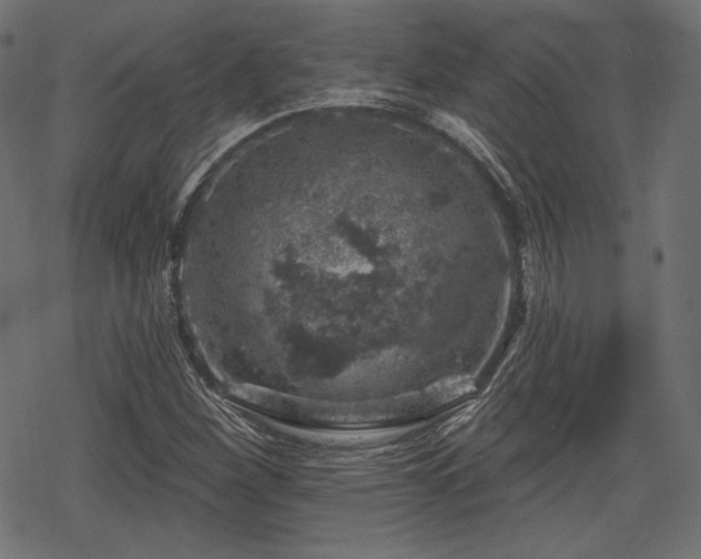 X0000068891260200605081311