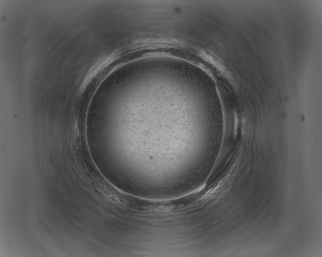 X0000068891261200605081311