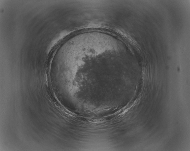 X0000068891262200605081311