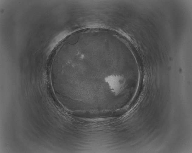 X0000068891263200605081311