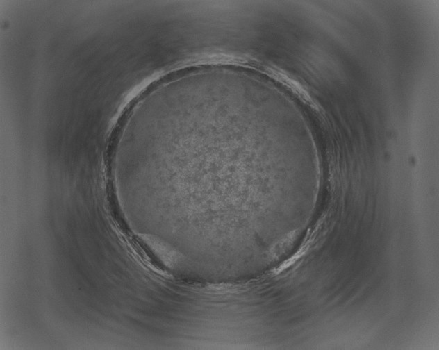 X0000068891264200605081310