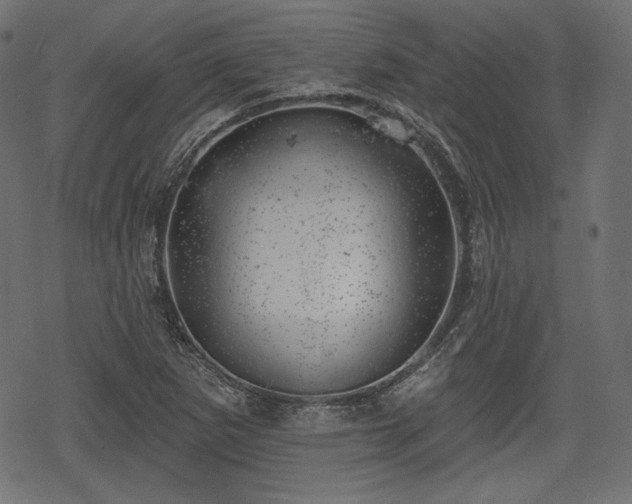 X0000068891265200605081310