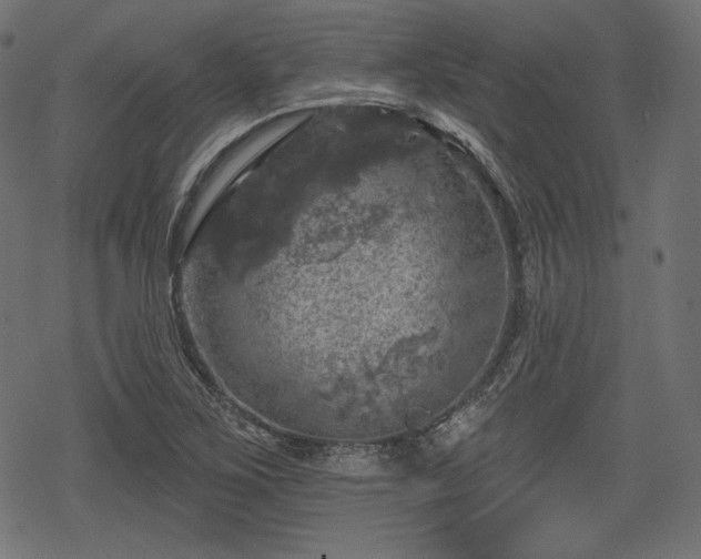 X0000068891267200605081310