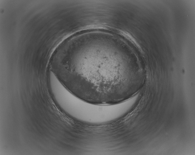 X0000068891268200605081310