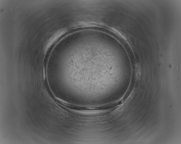 X0000068891269200605081310