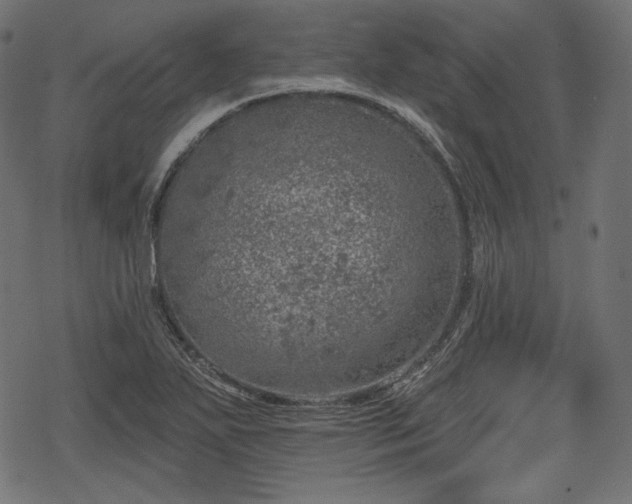 X0000068891271200605081310