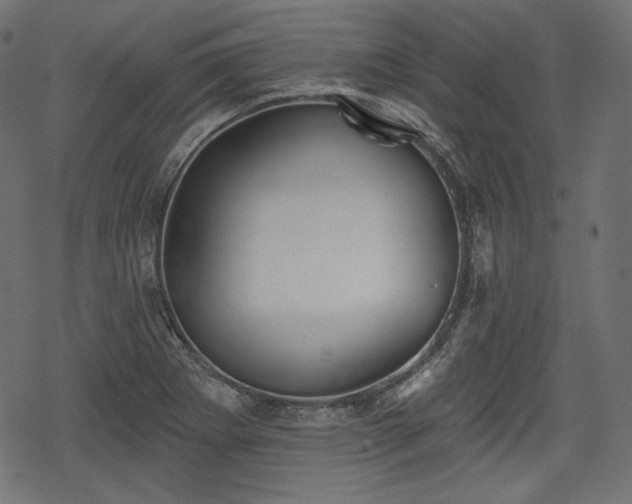 X0000068891273200605081310