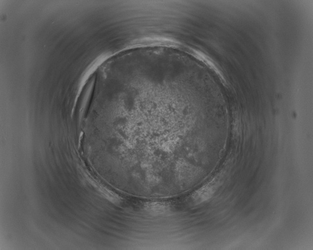 X0000068891275200605081310