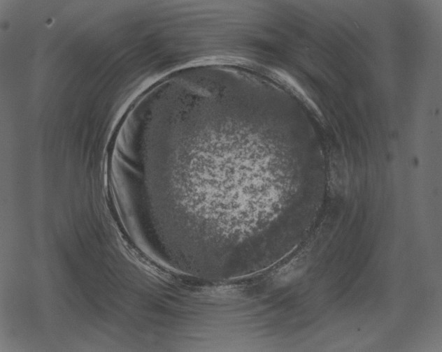 X0000068891276200605081310