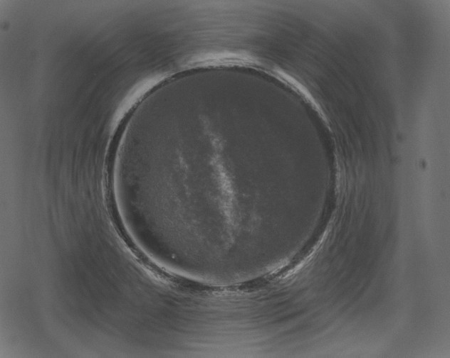 X0000068891277200605081310