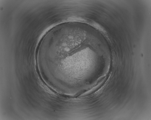 X0000068891280200605081310