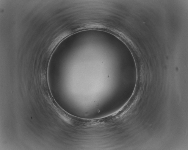 X0000068891281200605081310