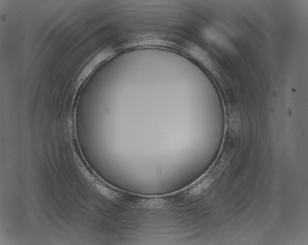 X0000068891282200605081310