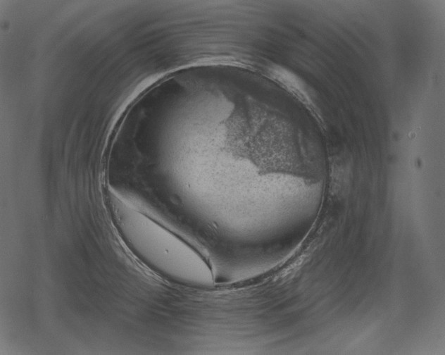 X0000068891284200605081310