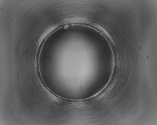 X0000068891285200605081310