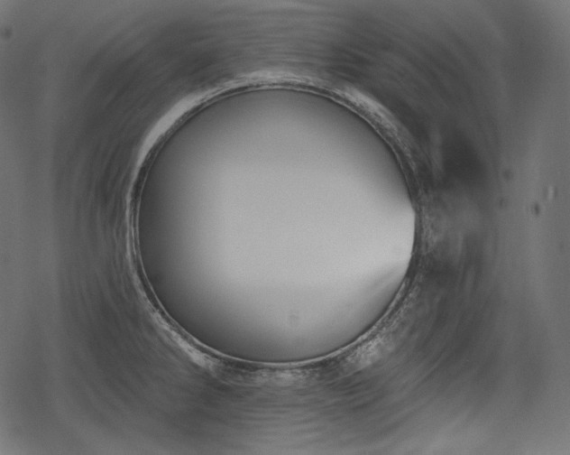 X0000068891286200605081310