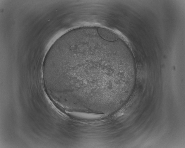 X0000068891287200605081310