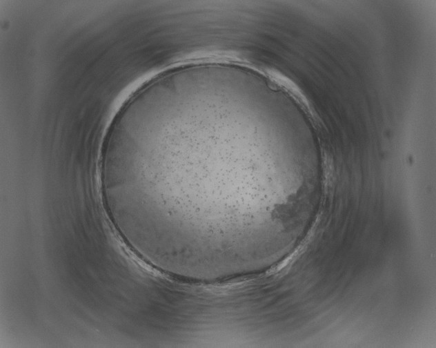 X0000068891288200605081310