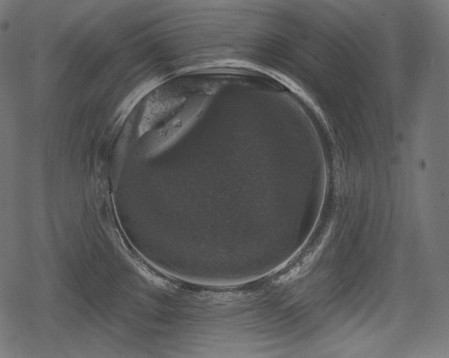 X0000068891289200605081310