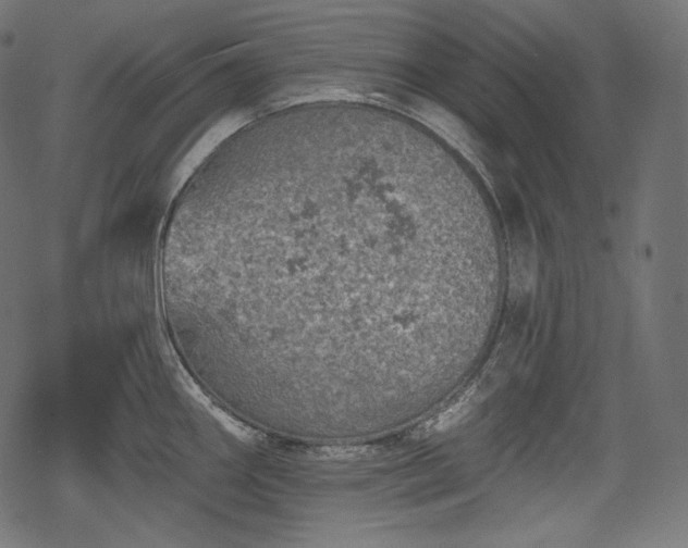 X0000068891290200605081310