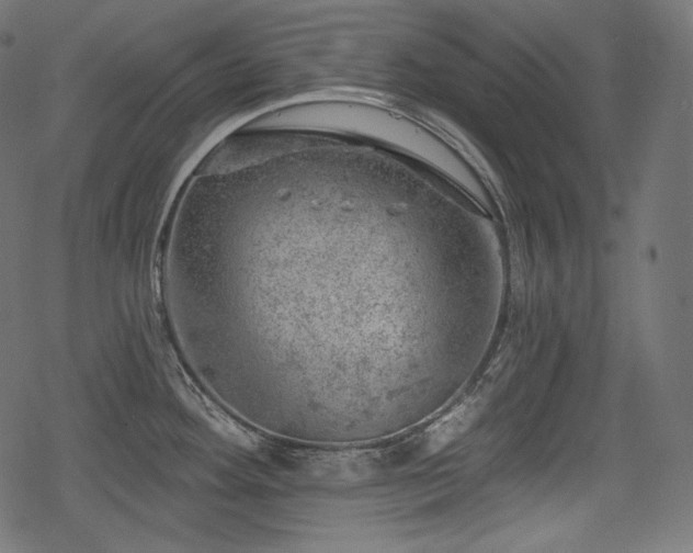 X0000068891292200605081310