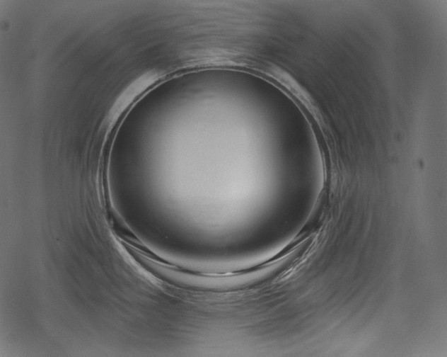 X0000068891293200605081310