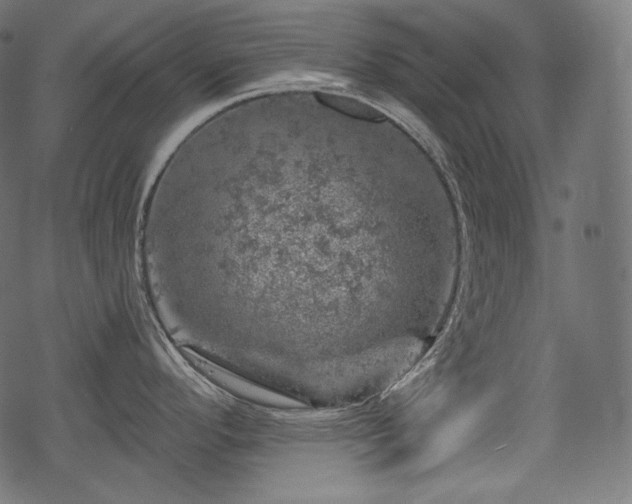 X0000068891296200605081310