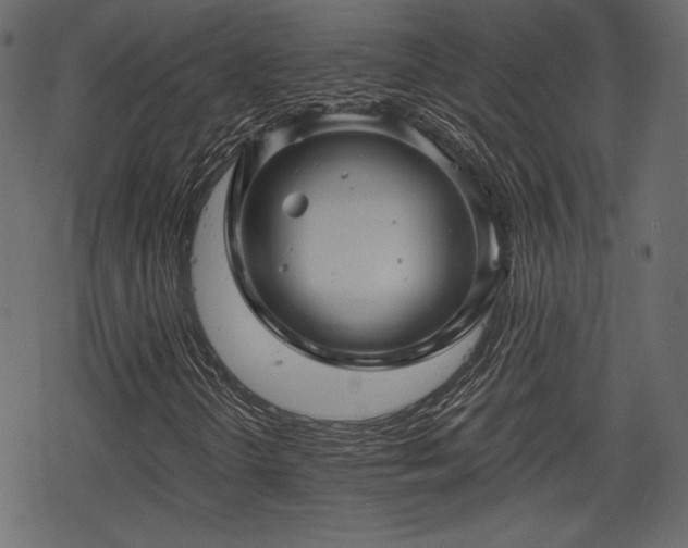 X0000068891298200605081309