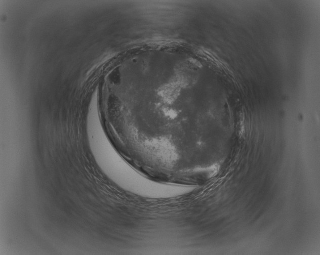 X0000068891302200605081309